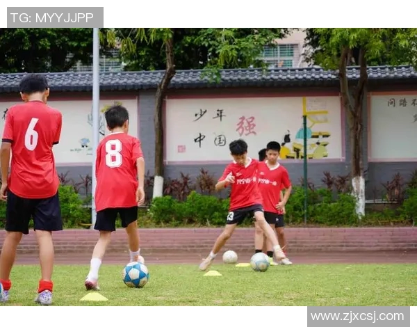 中国足球体育馆建设新进展助力足球文化传播与青少年培养计划启动