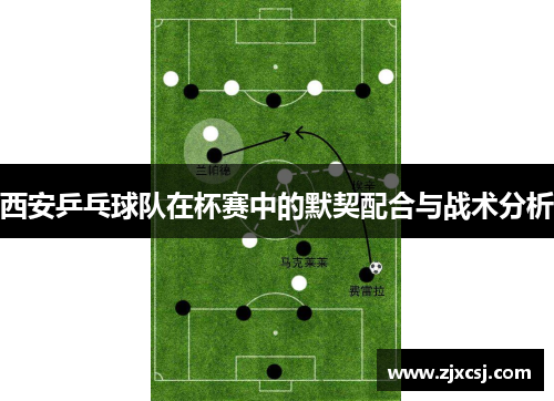 西安乒乓球队在杯赛中的默契配合与战术分析